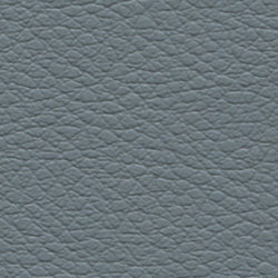 gray-2350.jpg